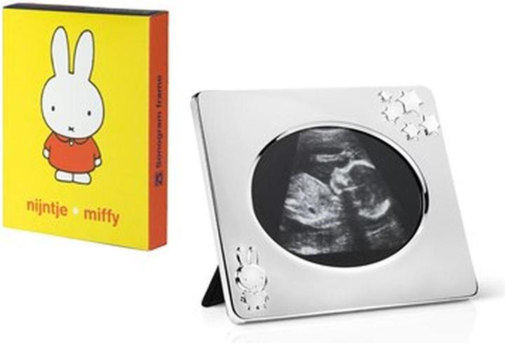 Produktbild Zilverstad Miffy (Diverse)