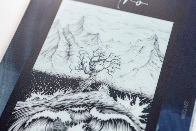 Image du produit Nitro MYSTIQUE 23 (142)