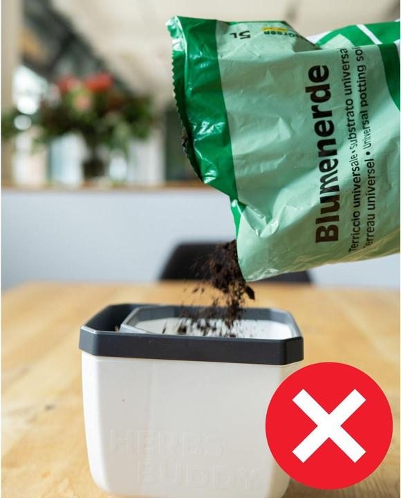 Actual product image Gusta Garden Herbs Buddy Set (49 x 15 x 14.50 cm)