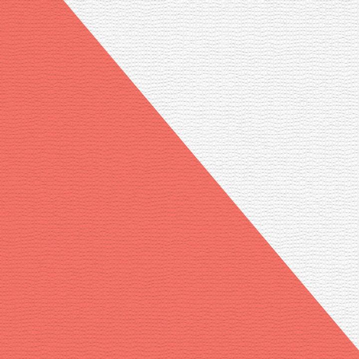 Immagine prodotto Architects Paper Pigmento ECO Bianco, verniciabile 5 (53 x 1005 cm)