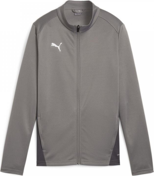 Actual product image Puma teamGOAL Training Jacket Wmn (M)