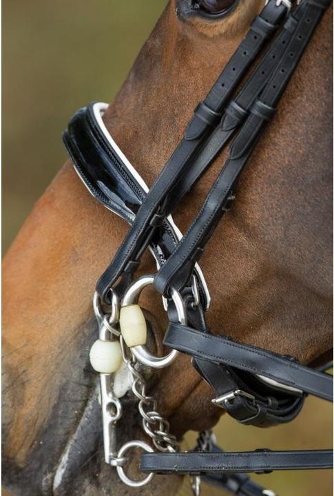 Immagine prodotto HFI Master Weymouth