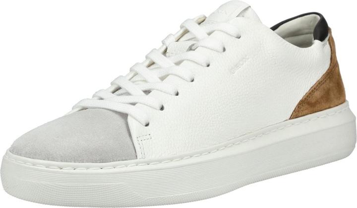 Bianco, Bianco, Marrone, Marrone C1224