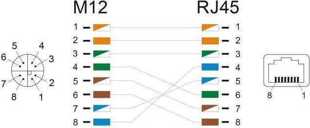 Actual product image Delock M12 adapter X-coded 8 pin socket to RJ45 socket straight (RJ45, RJ45 (1x))