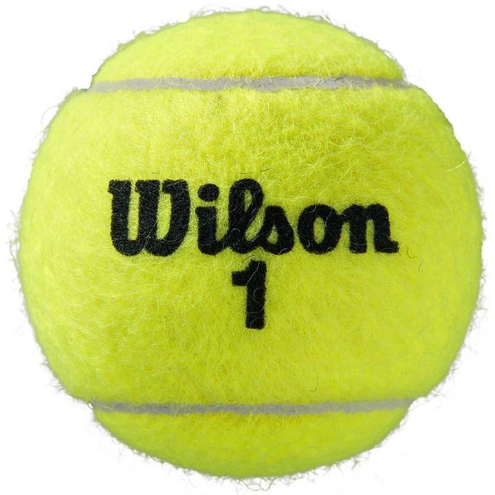 Produktbild Wilson Roland Garros All Ct 3 Ball
