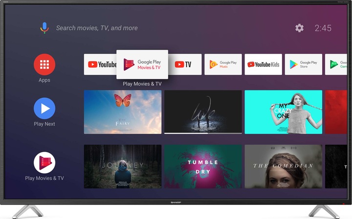 Sharp 50BL2EA (50", BL2EF, LCD, 4K, 2019)