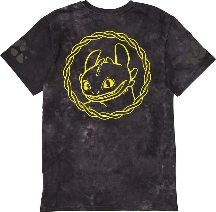 Immagine prodotto Loungefly Dreamworks by Tee T-Shirt Unisexe How to Train your Dragon (XXL) (XXL)