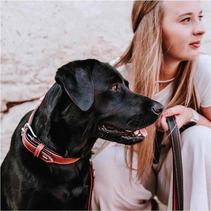Produktbild Hunter Halsband Canadian Up für Hunde Cognac M (M, Hund, Allgemein)