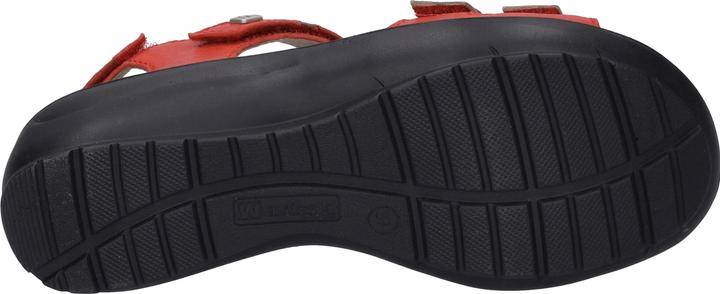 Actual product image Westland 25902-644 (41)