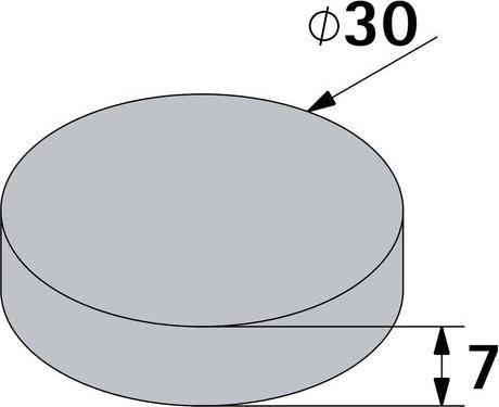 Immagine prodotto Hettich Magnet Ø 30 mm x 7 mm