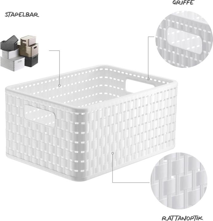 Actual product image Rotho Country (23.80 cm)