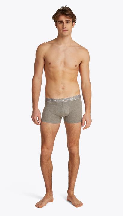 Actual product image Tommy Hilfiger 3p Trunk Dtm (L, pack of 3)