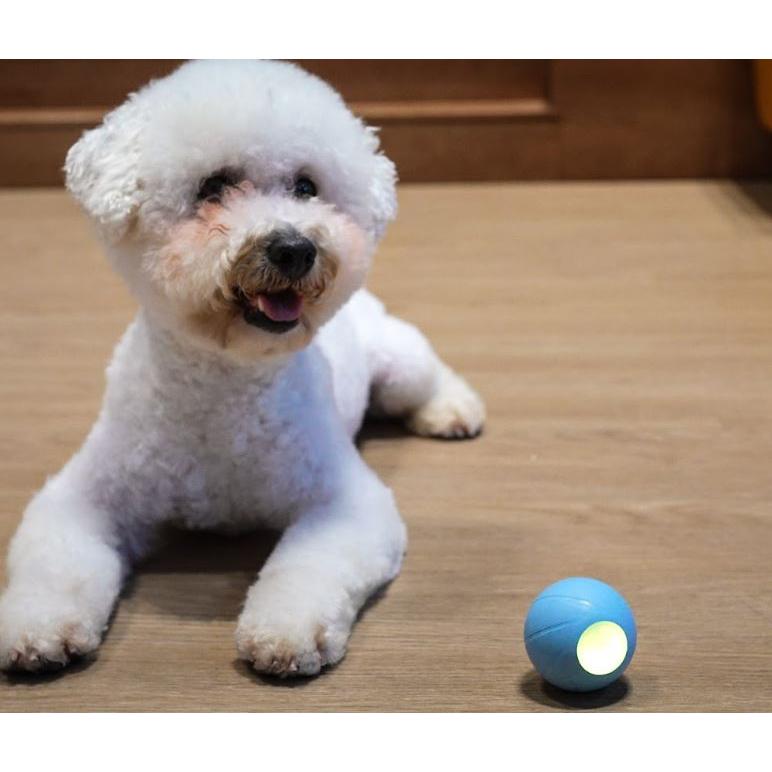 Thumbnail - Cheerble Ball W1 SE Interactive Pet Ball, Katzenspielzeug