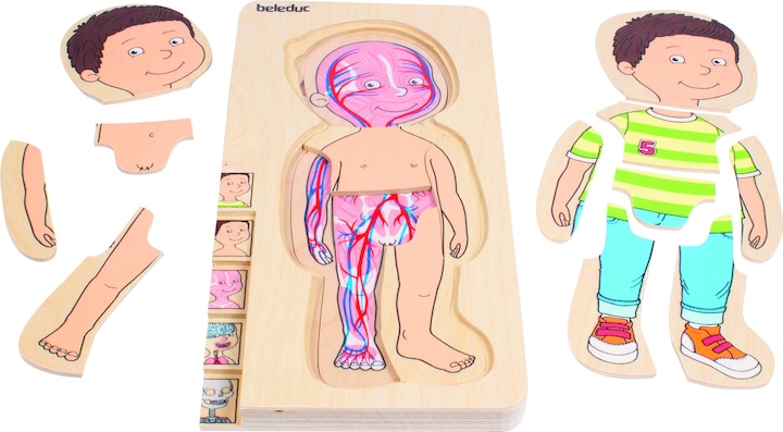 Produktbild Beleduc Lagen-Puzzle Dein Körper Junge (29 Teile)