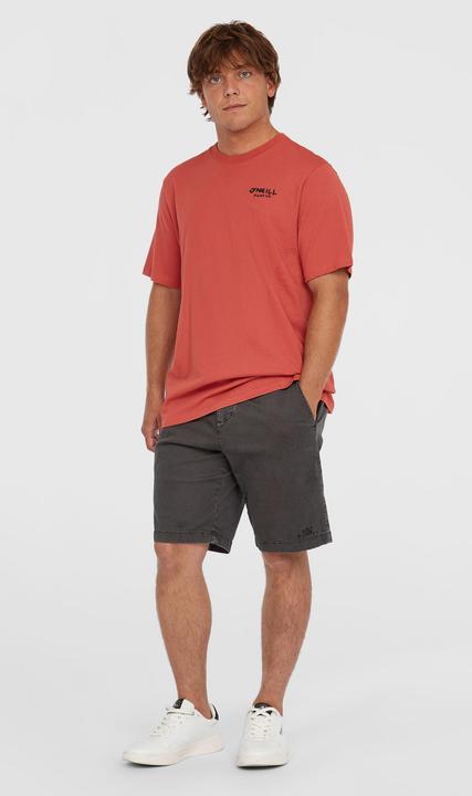 Produktbild O'Neill Global T-Shirt (M)