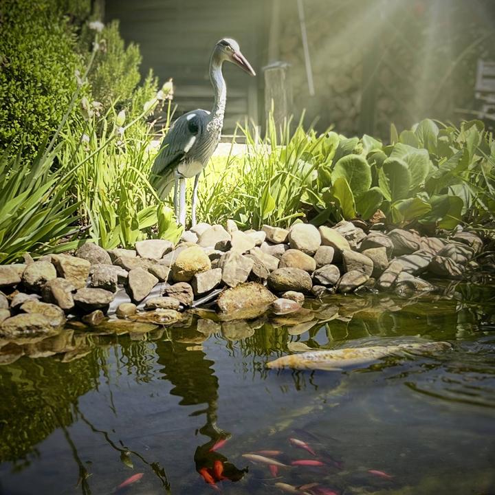 Produktbild Gardigo Vogelvertreiber Funktionsart Abschreckung 1 St.