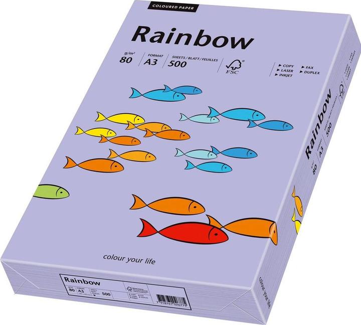Image du produit Rainbow Papier à copier couleur A3 (A3, 500 feuilles, 80 g/m²)