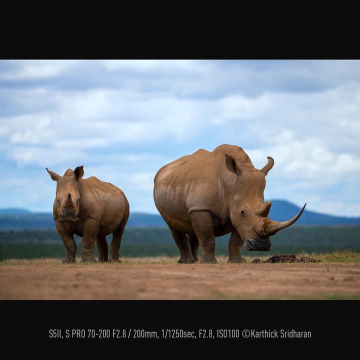 Image du produit Panasonic Lumix S 70-200mm f/2.8 Pro OIS (Leica L, Plein format)