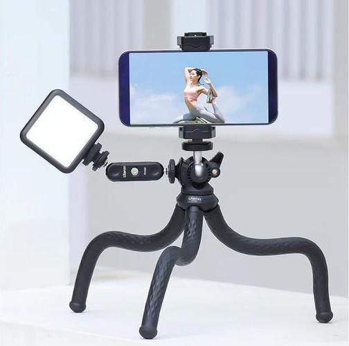 Image du produit Ulanzi Support R102 (Divers)