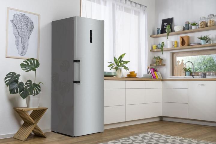 Produktbild Gorenje R619 DAXL6 si Standkühlschrank (398 l)