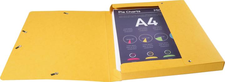Image du produit Exacompta Archivboxen (A4)