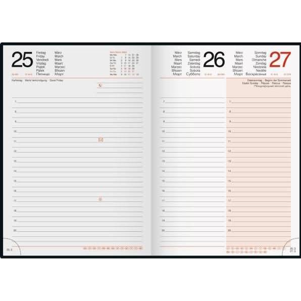 Thumbnail - Rido, Agenda, Buchkalender Mentor 14,8x20,8cm 1 Tag/Seite Kunstleder Monstera altrosa 2025 (A5, Polnisch, Niederländisch...