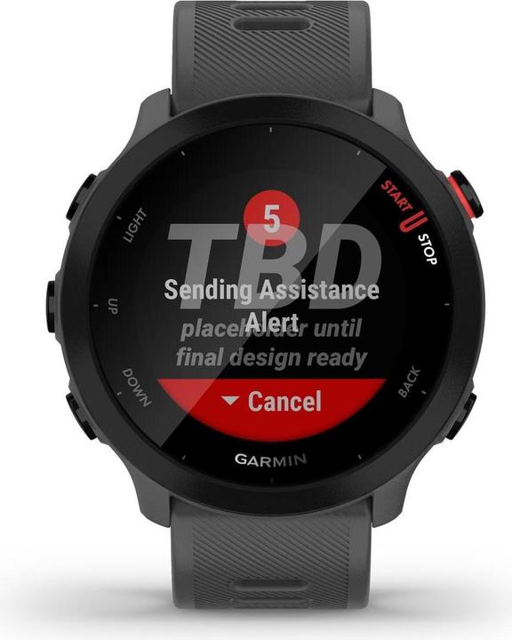 Actual product image Garmin Forerunner 55 (42 mm)