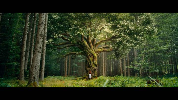 Immagine prodotto Ein Mädchen namens Willow (DVD, 2024, Tedesco)