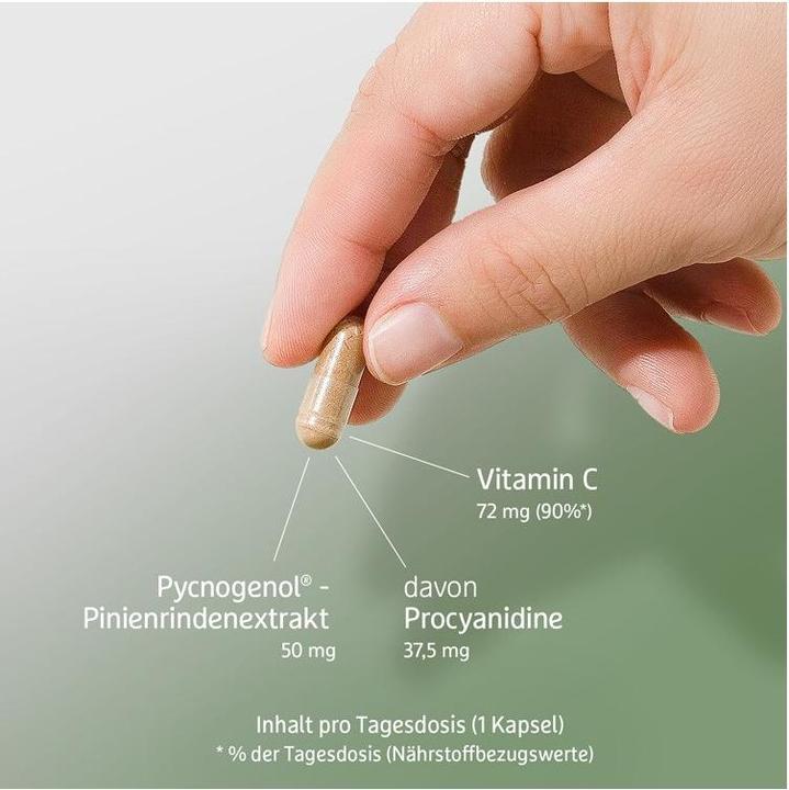 Actual product image Effective Nature Pycnogenol - Pinienrindenextrakt (60 pcs., Capsules)