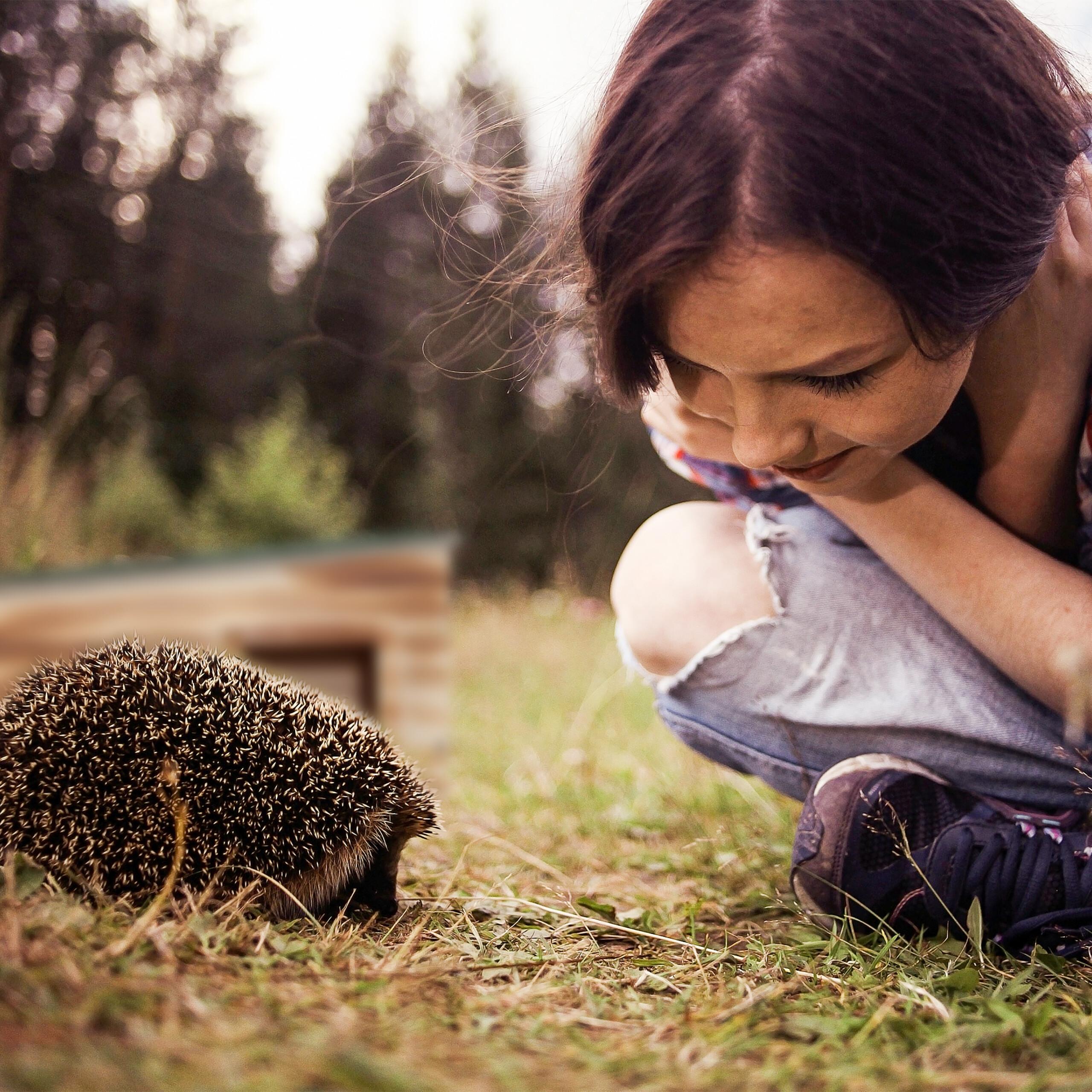 Thumbnail - Relaxdays Igelhaus, Kleintierstalleinrichtung