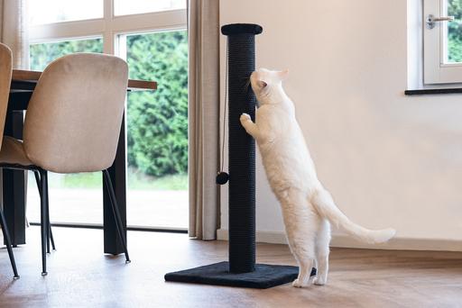 Produktbild Beeztees Serpa (90 cm, Schwarz)