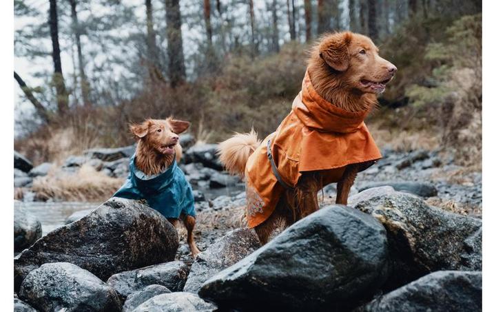 Immagine prodotto Hurtta Cappotto Monsoon Impermeabile (20, XXS, XS, Cappotto impermeabile per cani)