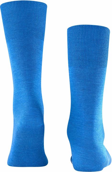 Actual product image Falke Airport SO (Single pack, 39 - 40)
