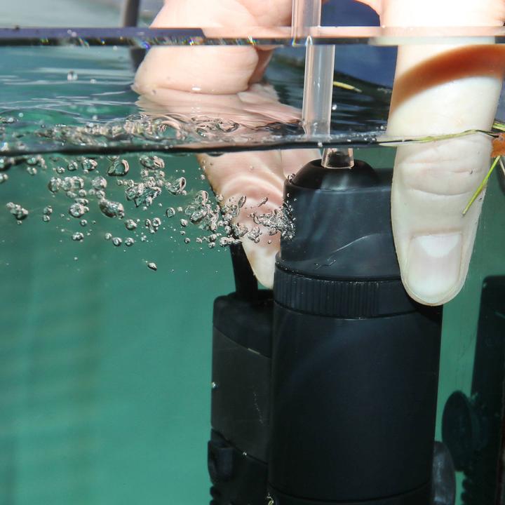 Actual product image JBL Aquaristik und Terraristik JBL ProCristal i30 internal aquarium filter (40 l, Internal filters, Fresh water)