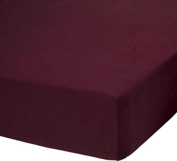 Aubergine