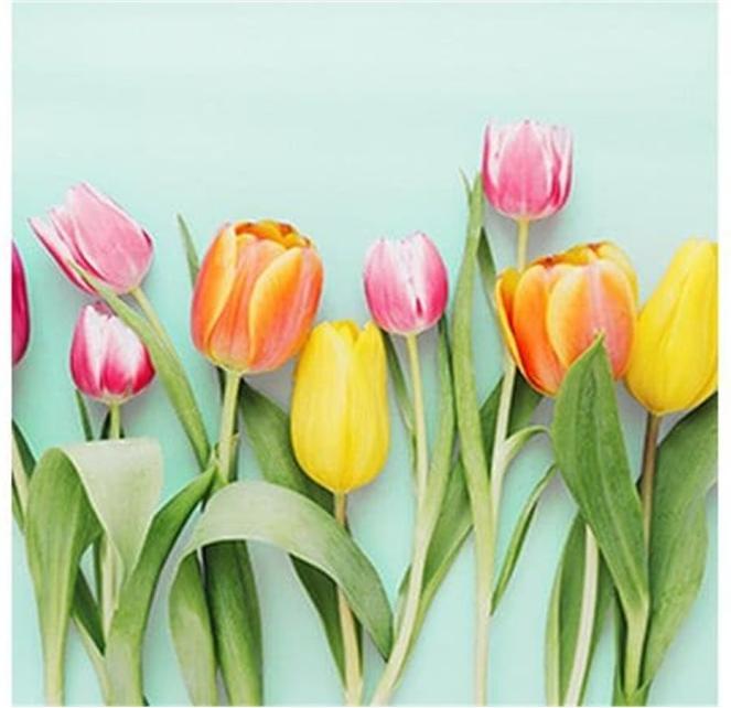 Motivserviette (20 x, 33 x 33 cm)