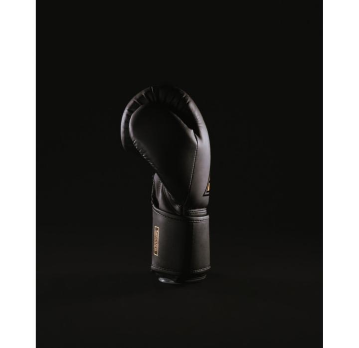 Image du produit MetalBoxe Gants de Boxe Entrainement Starter (10 OZ, 10)