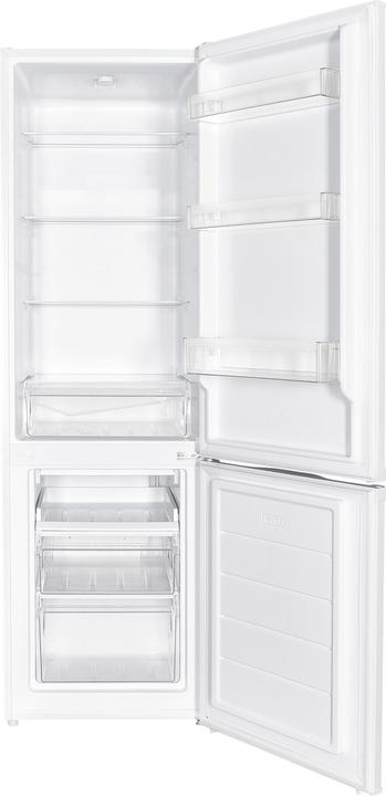 Actual product image SPC GK3628-1 WS (262 l)