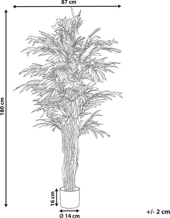 Produktbild Beliani Willow Tree (180 cm)