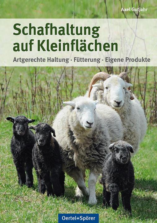 Produktbild Schafhaltung auf Kleinflächen (Deutsch, Axel Gutjahr, 2024)