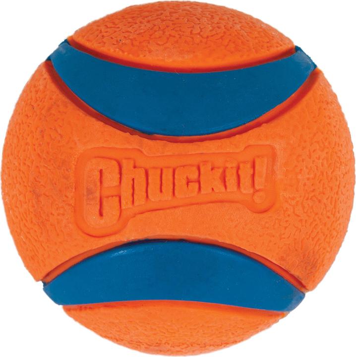 Actual product image Chuckit! Chuckit (Ball toy dog)