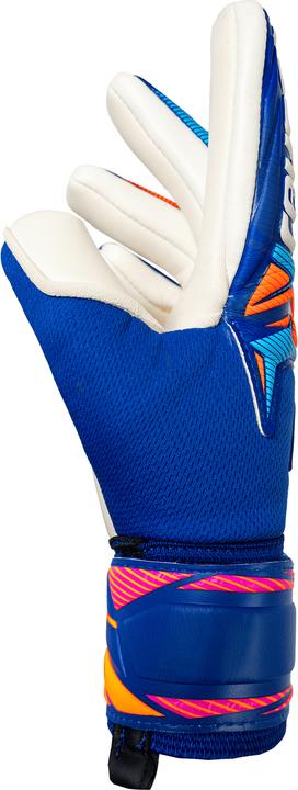 Produktbild Reusch Attrakt Gold X NC Junior (5)