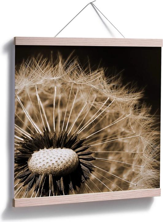 Produktbild Trenddeko Dandelion (60 x 60 cm)