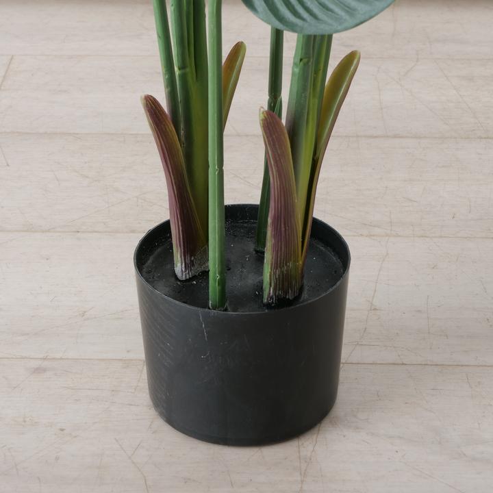 Immagine prodotto Boltze Home Pianta artificiale (110 cm)