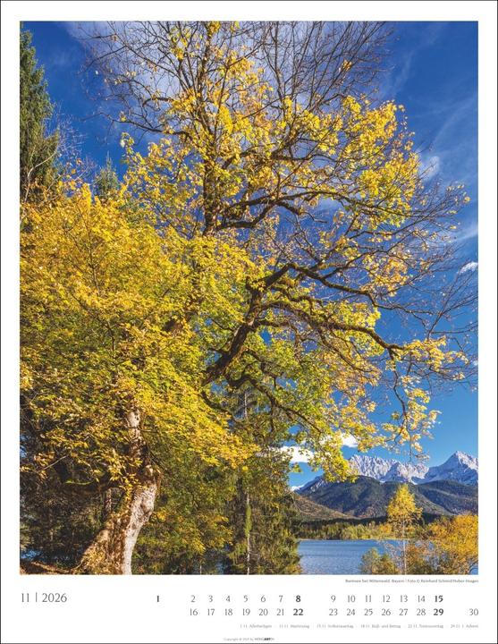 Produktbild Heimische Wälder Kalender 2026 (34 x 44 cm, Harter Einband, Deutsch)