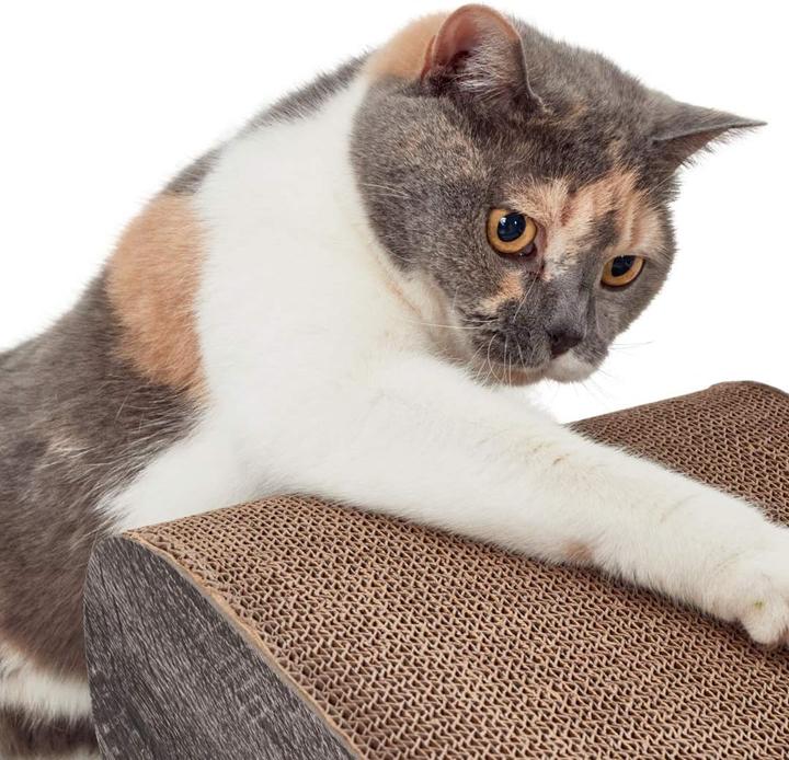 Actual product image CanadianCat Scratching board Satellite gray 2.0 (Grey)