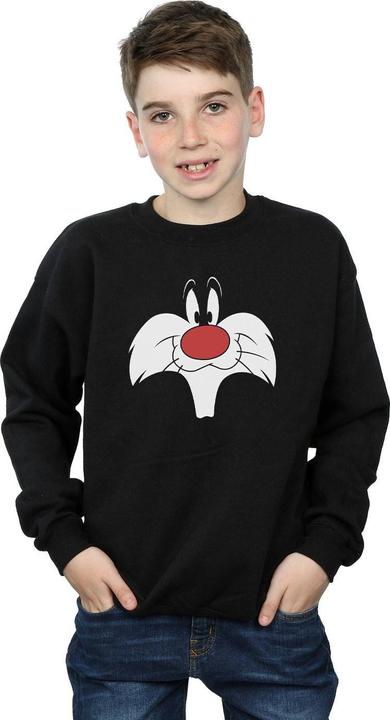 Actual product image Looney Tunes Boys Sylvester Big Face Sweatshirt (152, 158)