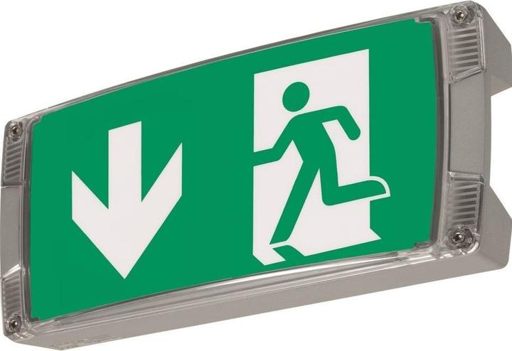 Actual product image Ceag Sicherheitsleuchte