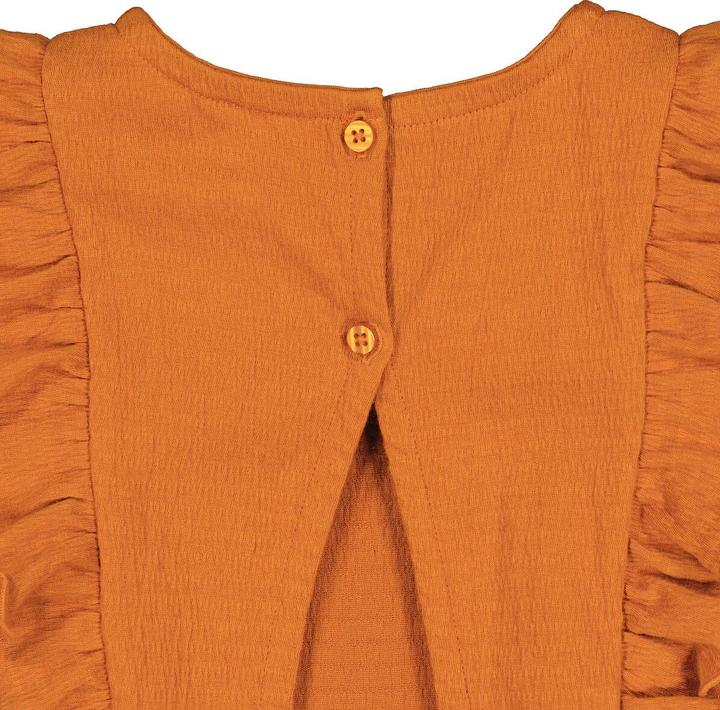 Image du produit La Redoute Collections Robe courte à volants (120 C)