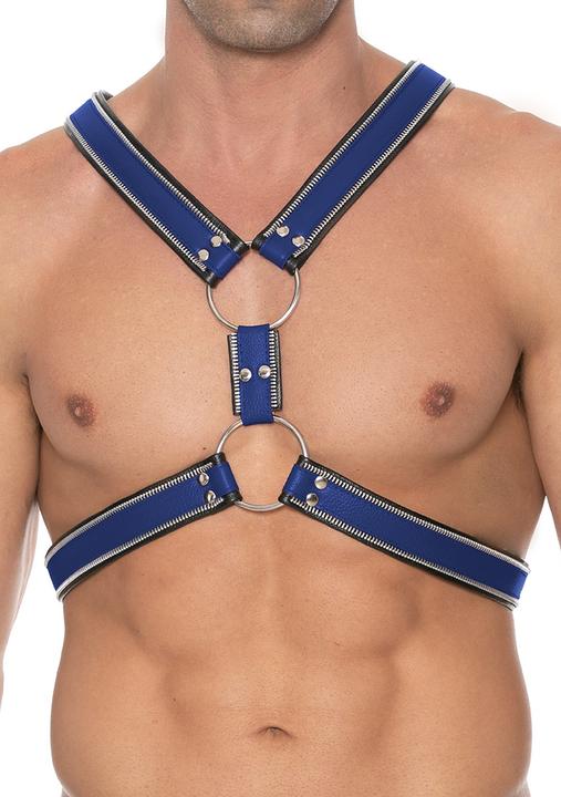 Actual product image Ouch! Z Series Scottish Harness/Blue - S/M